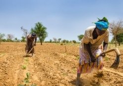 Hunger in the Sahel is a ‘disaster that the world cannot continue to ignore’